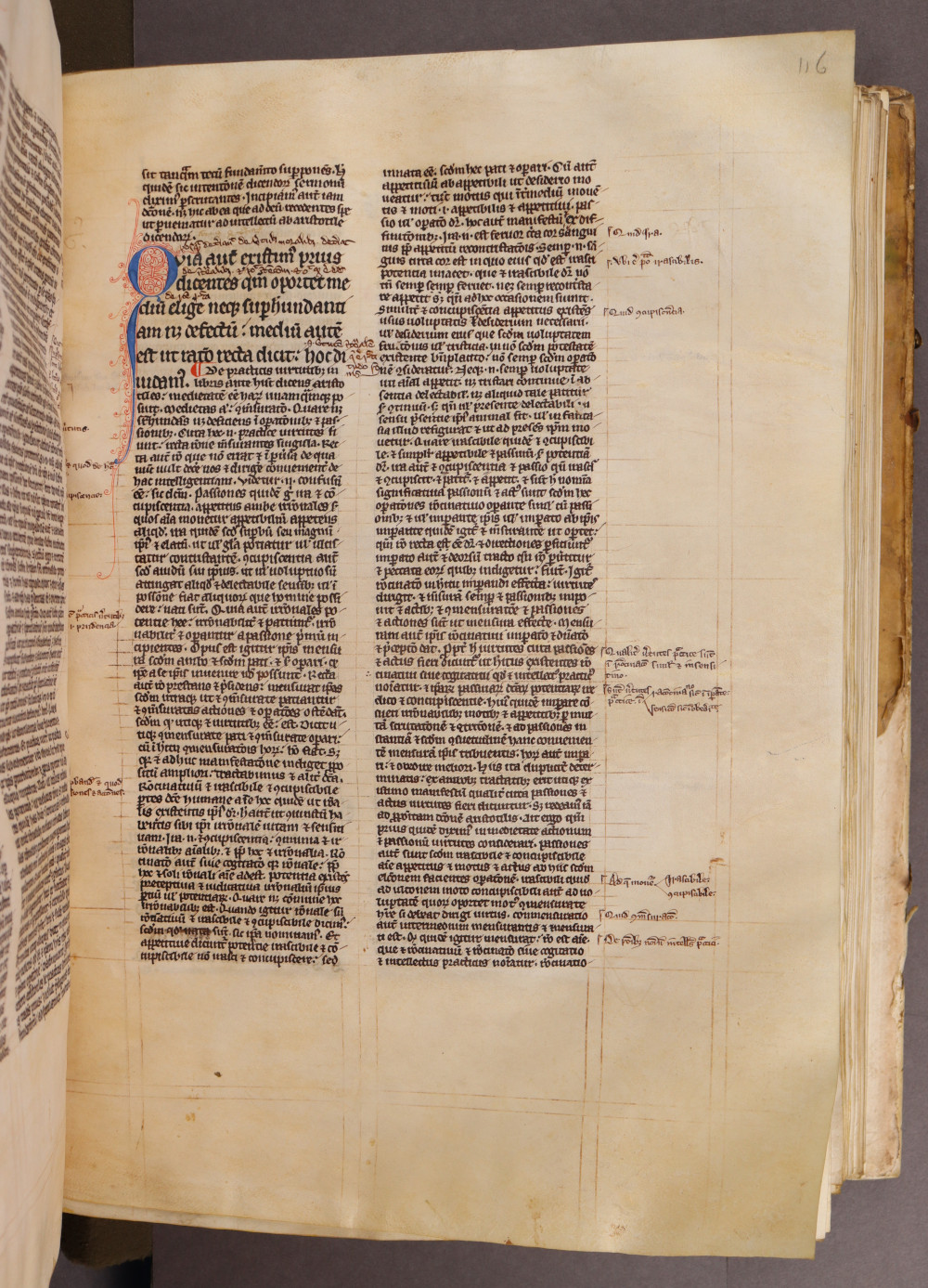 Folio 116 recto